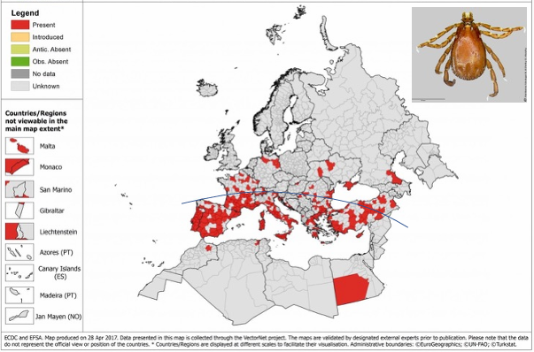 <p>What does this image show?</p>