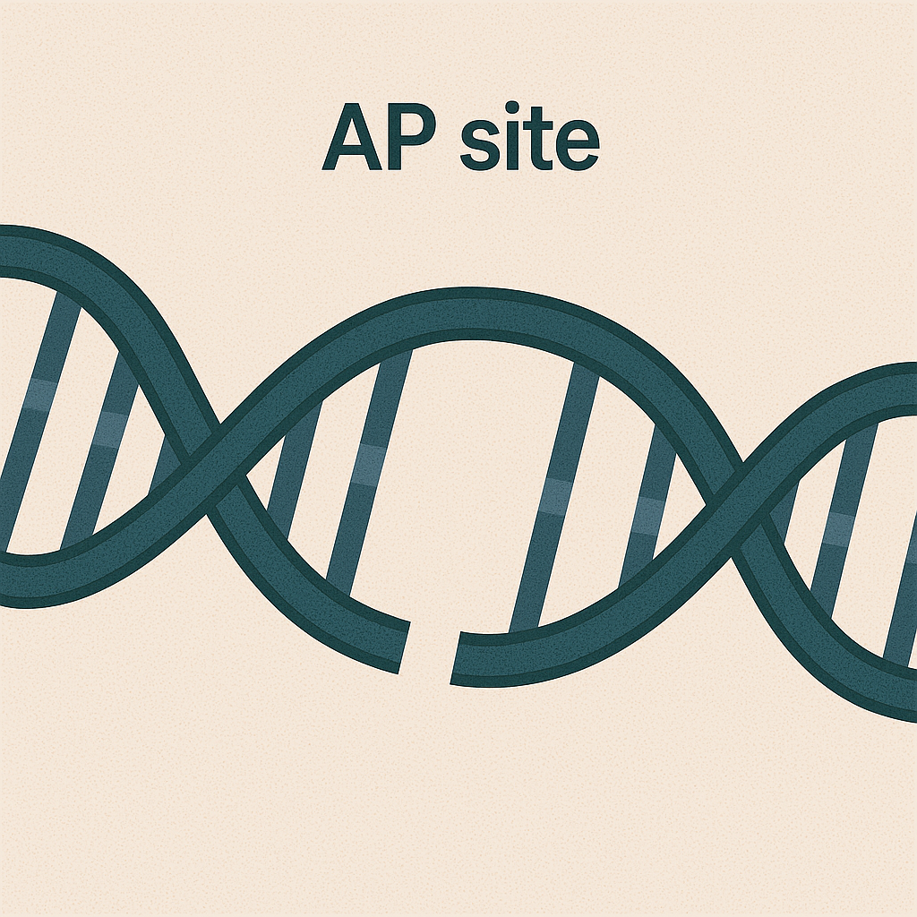 <p>AP site</p>