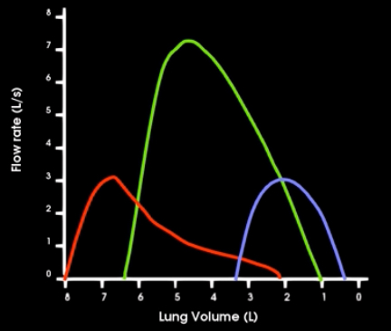 <p>What type os disorders are shown?</p>