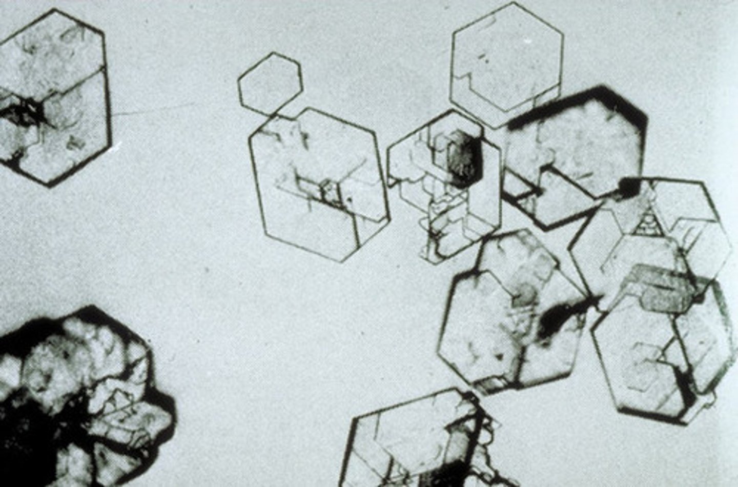 <p>Abnormal, found in rare amino acid disorder (Cystinuria)<br>Colorless hexagonal plates</p>