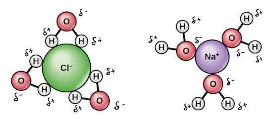 Spheres of hydration formed around individual atoms in salt (NaCl).