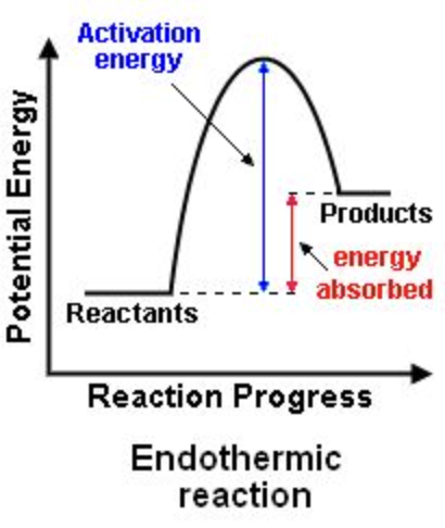 <p>Endothermic</p>