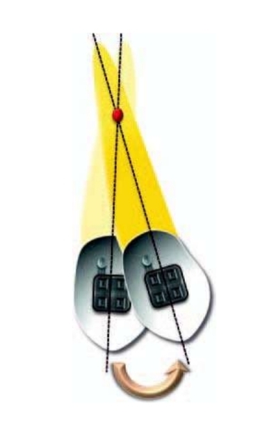 <p>Apex moves in opposite direction to crown</p>