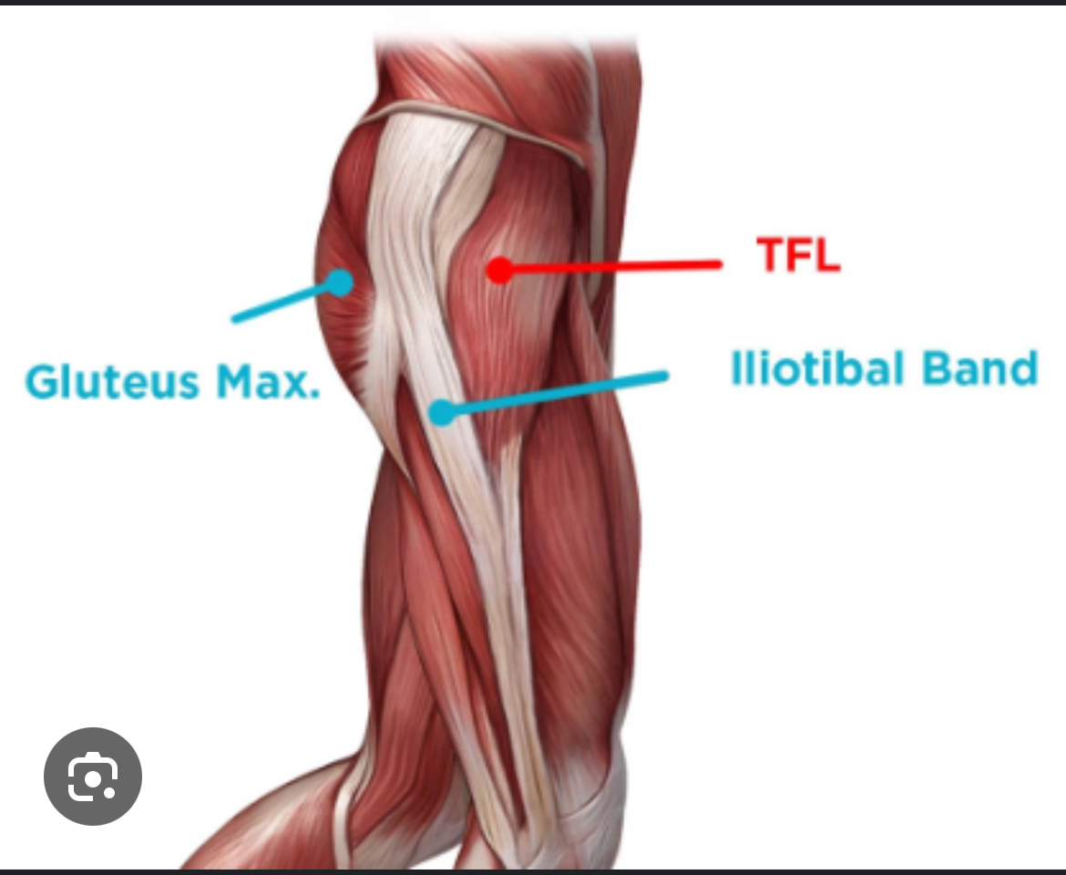 <p>What is the insertion of the Tensor Fasciae Latae (TFL)?</p>