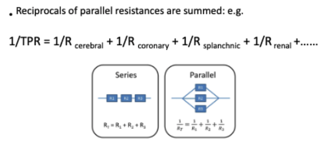 <p>(reciprocal)</p>