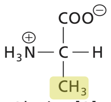 <p>Aliphatic R, hydrophobic (interactions)</p>