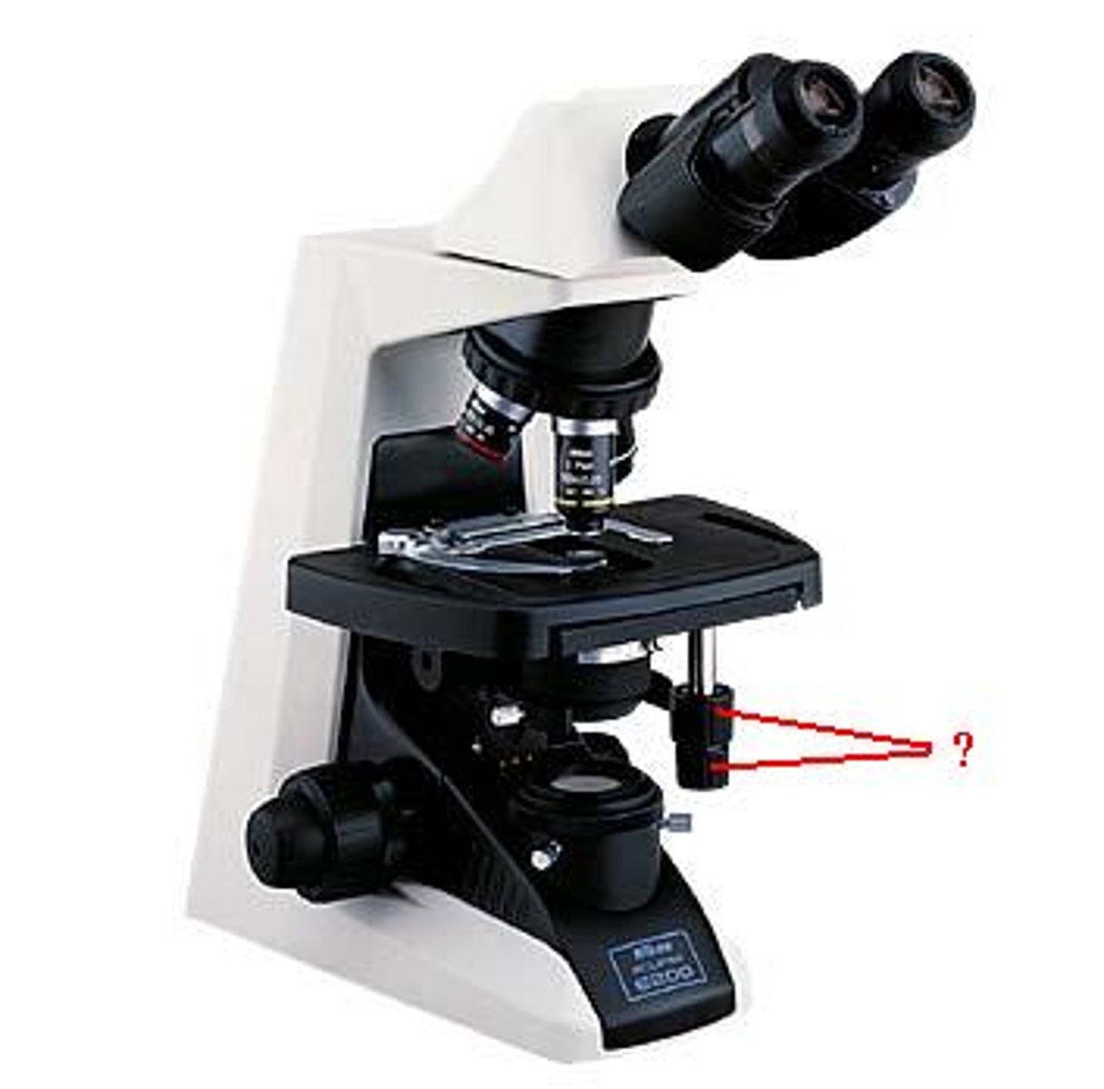 <p>Identify the indicated parts of the microscope.</p>