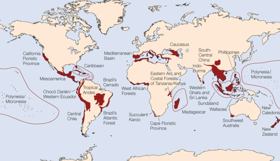 <ol><li><p>hotspots (high endemism), high level of threat</p></li><li><p>high biodiversity wilderness area, high richness, lower human impacts</p></li></ol><ul><li><p>ecological uniqueness</p></li><li><p>viability</p></li><li><p>threats</p></li><li><p>feasability</p></li></ul><p></p>