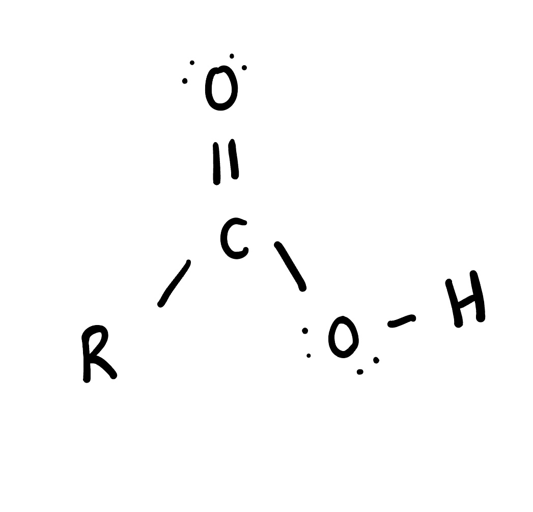 <p>is an organic compound that contains a carboxyl group (-COOH), which consists of a carbonyl and a hydroxyl group. Carboxylic acids are known for their acidic properties and are commonly found in nature, such as in fatty acids and amino acids. </p>