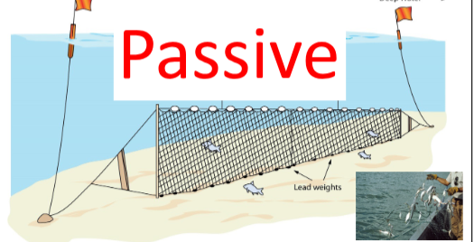 <p>passive</p>