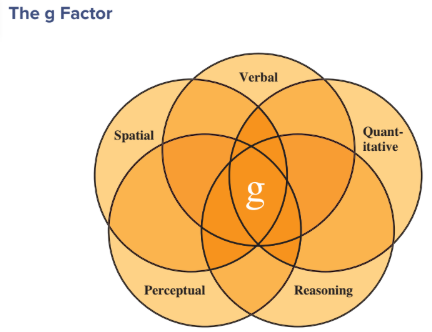 <p>The overlap of cognitive abilities</p>
