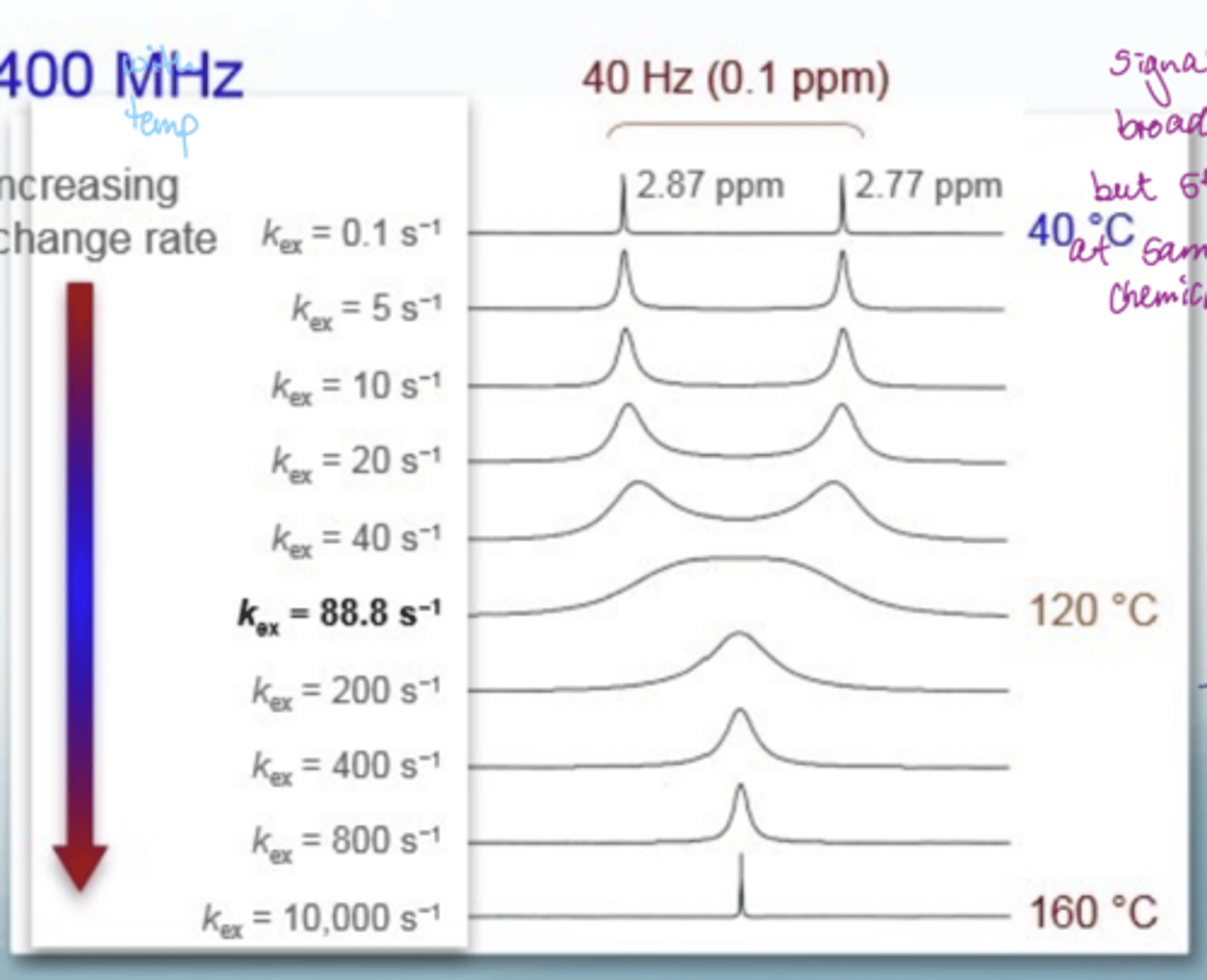 <p>at low temps, there are 2 sharp peaks due to methyl groups (no significant rotation around CN so bonds are distinct)- slow exchange</p><p>as temp increases, signals broaden but stay at the same chemical shift - intermediate exchange</p><p>at high temps, there is rotation around the amide bond so get fast exchange and see 1 signal- fast exchange</p><p>a difference in peak intensity reflects equilibrium intensities</p>