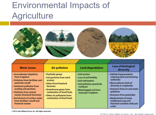 <ul><li><p>Water pollution by chemicals</p></li><li><p>Erosion and soil degradation</p></li><li><p>Soil and groundwater salinization</p></li><li><p>Air pollution</p></li><li><p>Climate change from land clearing</p></li><li><p>Deforestation</p></li><li><p>Habitat fragmentation and wildlife endangerment</p></li><li><p>Pesticide, antibiotic, and hormone residues in food</p></li><li><p>Aquifer depletion</p></li><li><p>Loss of genetic variation</p></li></ul>