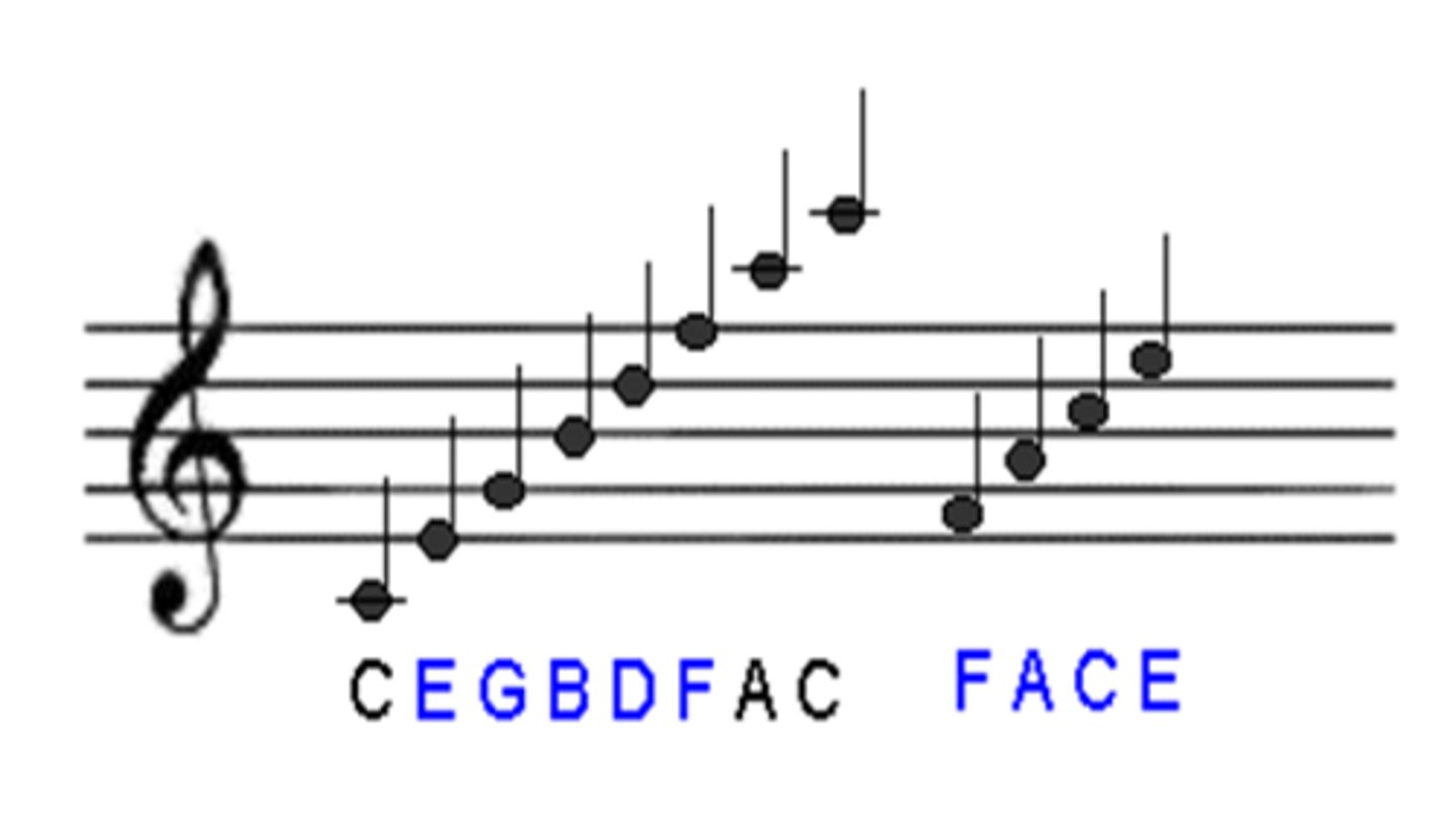 <p>Lines: Every Good Boy Does Fine (E, G, B, D, F)</p><p>Spaces: FACE</p>