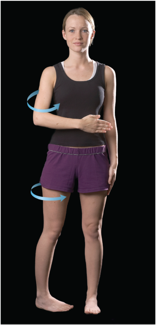 <p>rotating toward the body</p>
