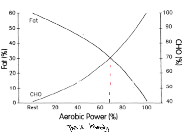 <p>Fat oxidation - major energy source</p><ul><li><p>at rest to ~60-65% of VO2max</p></li></ul><p></p><p>Carbohydrate oxidation - major energy source</p><ul><li><p></p><blockquote><p>60-65% of VO2 max</p></blockquote></li></ul><p></p><p>Lipid is used sparingly when exercise intensity is greater than 65% of VO2 max</p>