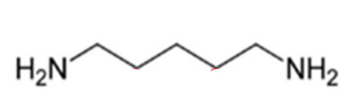 <p>ID this structure</p>