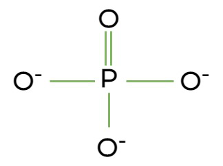 <p>OPO<sub>3</sub><sup>2-</sup>, polar, hydrophilic, can take ionic charge</p>