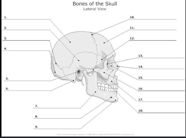 <p>What is #4?</p>