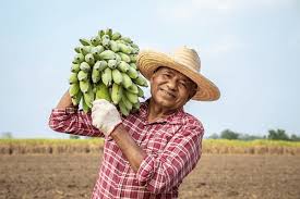 <p>bunch | bundle</p>