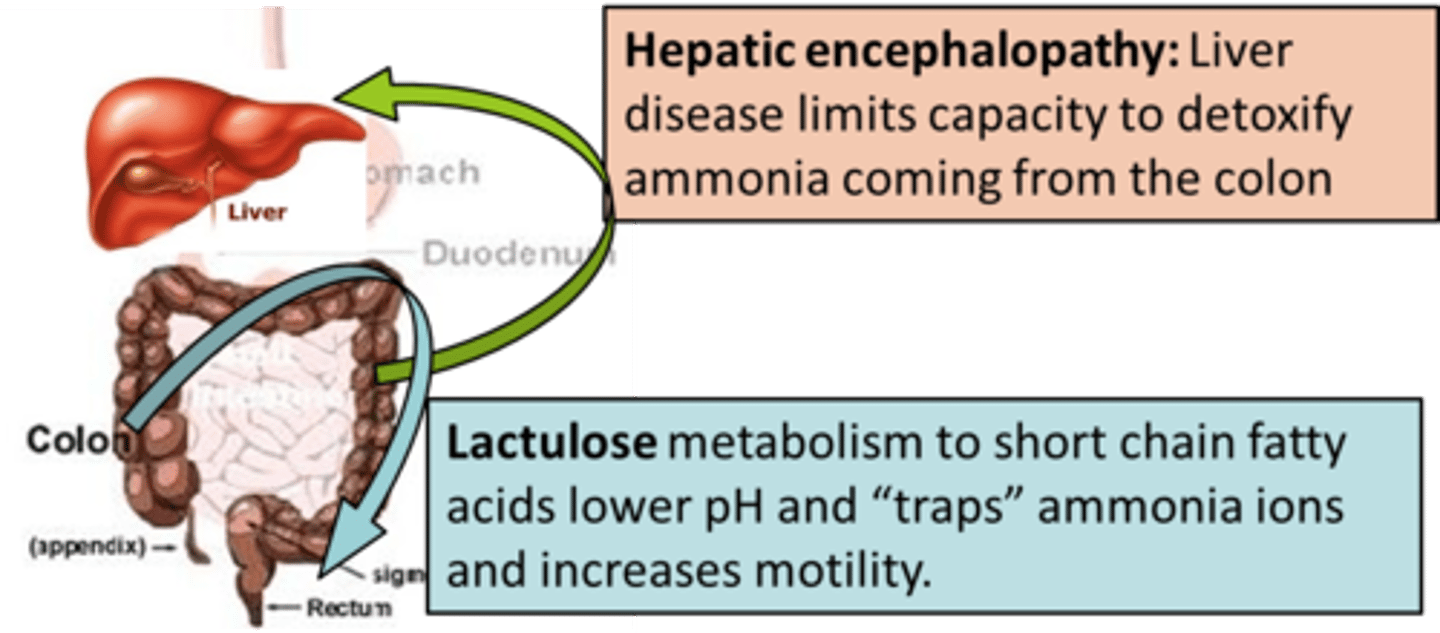 <p>impaired ammonia metabolism causes cerebral edema. s/s: change in LOC, memory loss, asterixis (flapping tremor) impaired handwriting, hyperventilation w/ resp alkalosis. treatment: lactulose-traps ammnia and lwoers pH, low protein, safety, rest</p>