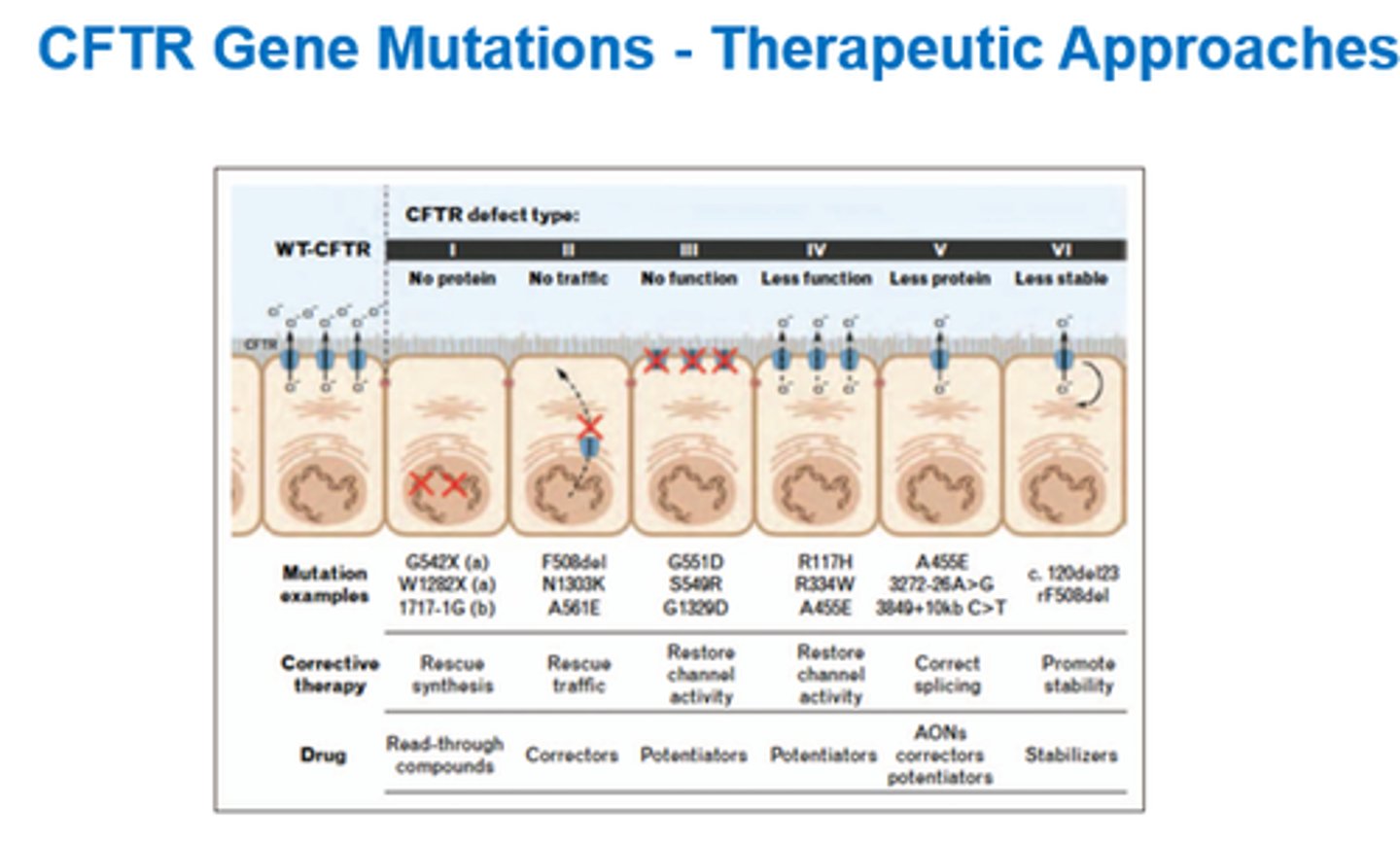 <p>Targeting CFTR gene mutations.</p>