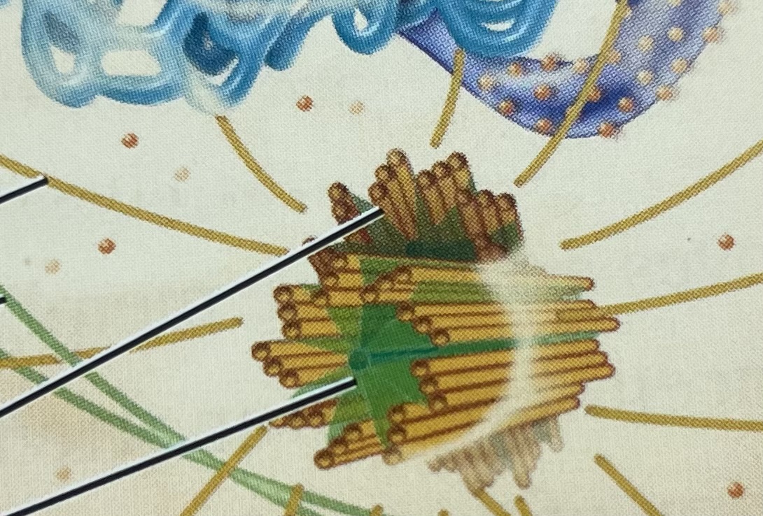 term image