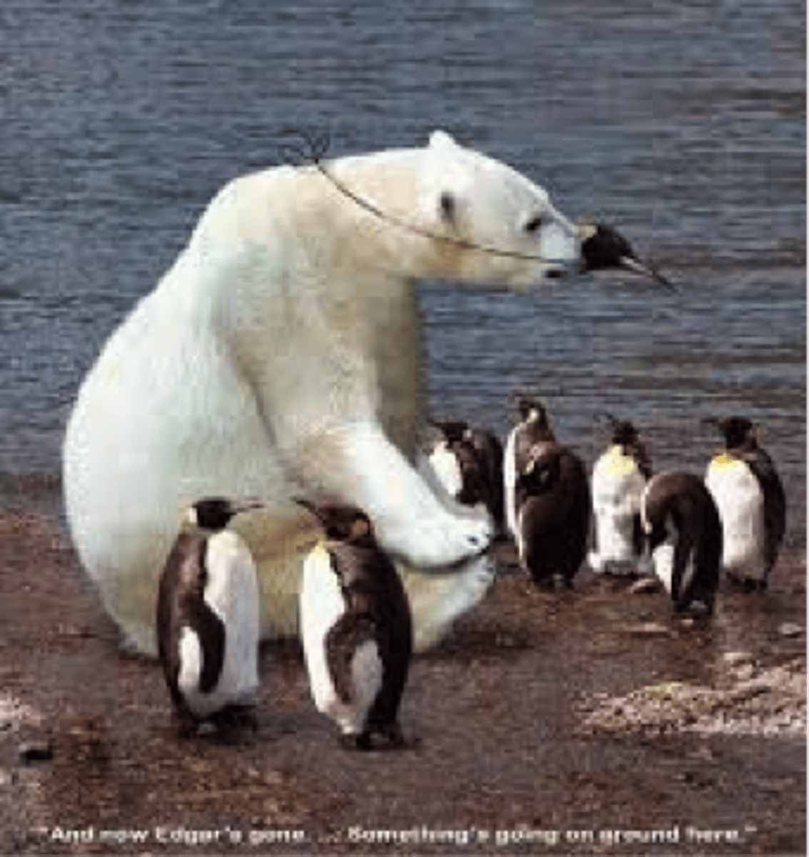 <p>the effects of the presence or actions of others (either real or imagined) on ABCs (Affect, Behaviour, Cognition)</p>
