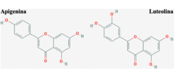 <p>Compostos: Apigenina, luteolina</p><p>Ação: Anti-inflamatótia e anti-espasmódica</p><p>Ação local: calmante e antipruriginoso, analgésico e higiene bucal.</p>