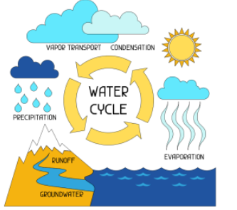 <p>Which part of the diagram represents the largest amount of water on Earth?</p>