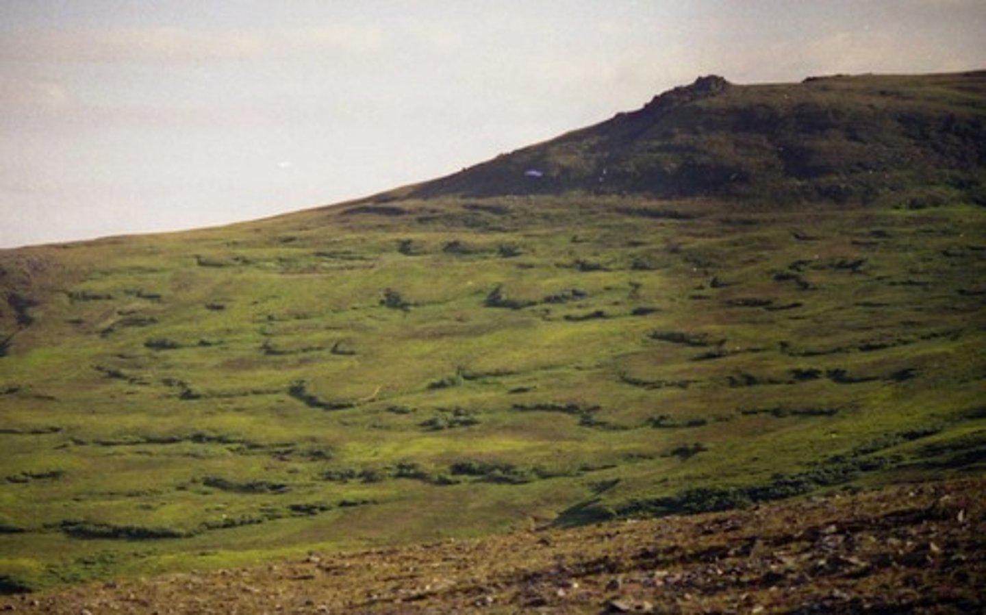 <p>Slow, downslope flow of water-saturated materials common to permafrost areas. <br>Wetter form of soil creep. <br>Topsoil becomes saturated which increases weight and lubricates its descent. <br>Forms solifluction loves. <br><br>5cm - 1m a year travel.</p>