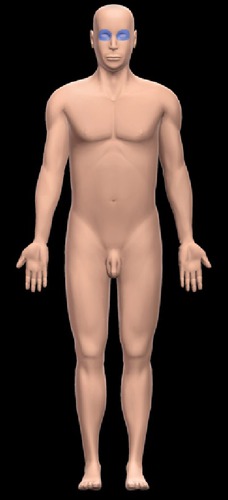 Identify the body region