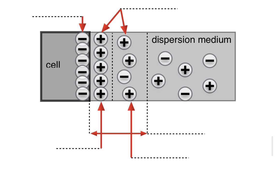 <p>Label the sketch with the appropriate parameters</p>