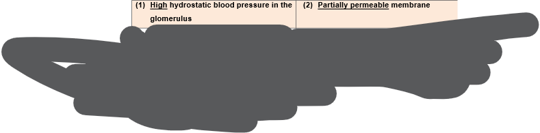 <p><span>Conditions for ultrafiltration</span></p>