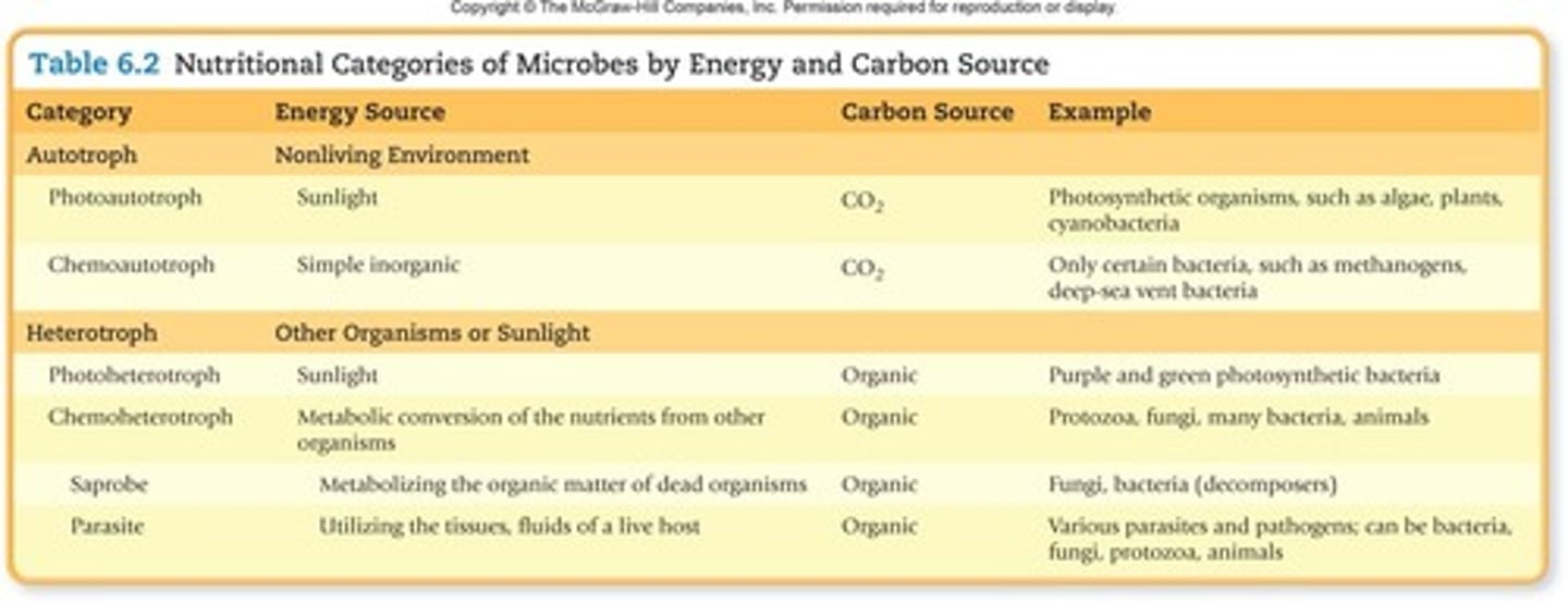 <p>Microorganisms that obtain carbon from organic sources</p>