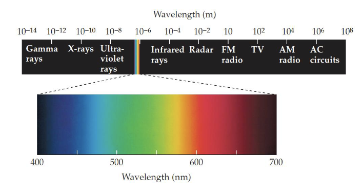 <p><strong>Wavelength = </strong>length between two peaks in a repeated stimulus such as a wave, light, or sound </p><p><strong>Photon = </strong>quantum of electromagnetic energy in the range of wavelengths we call light </p><p>Light is an amalgamation of the two </p>