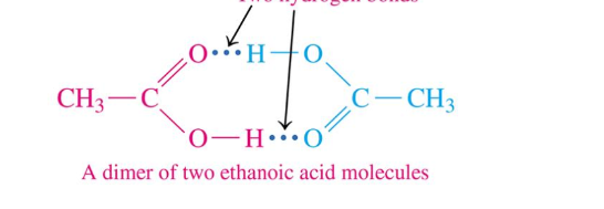 <ul><li><p>carboxylic acids can form dimers, hydrogen bond with itself</p></li><li><p>two hydrogen bonds between carboxyl groups</p></li></ul>