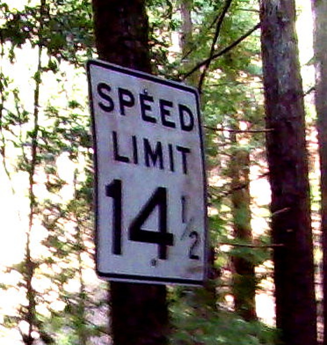 <p>speed limit</p>