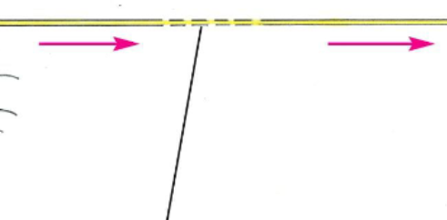 <p>Axon</p>