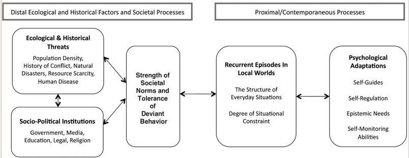 <ul><li><p>ecological and historical threats</p><ul><li><p><span>Population density and growth, lower food and water supplies, lower air quality, more natural disasters, more territorial threats from neighbours, more diseases and infant mortality</span></p></li></ul></li><li><p>societal institutions and practices </p><ul><li><p><span>Autocratic rule, closed media, fewer political rights and civil liberties, more police per capita, stricter punishments, lower crime, more religion, less collective action</span></p></li></ul></li><li><p>psychological adaptations</p><ul><li><p><span>Cautiousness, dutifulness, self-regulation (impulse control), <br>need for structure, self-monitoring</span></p></li></ul></li></ul>