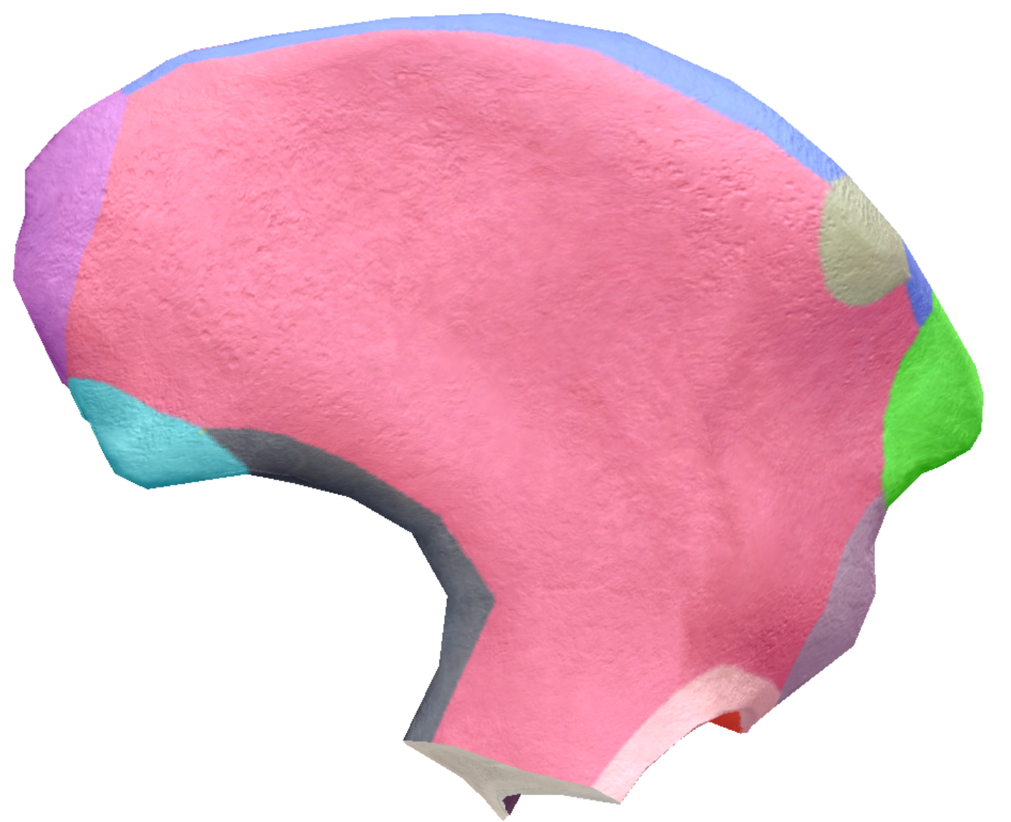 term image