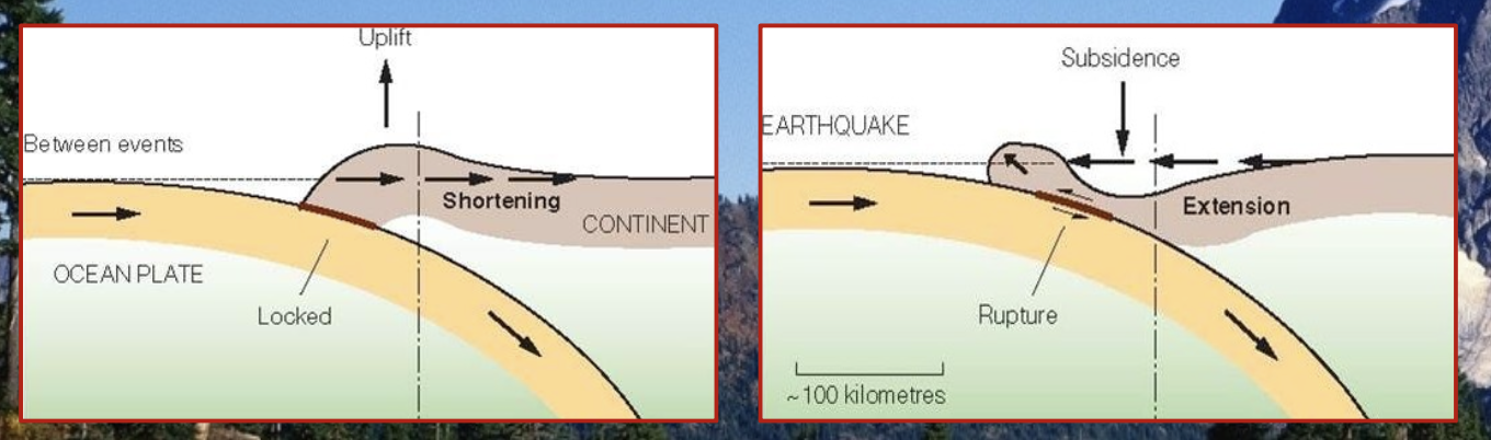 This catastrophic event occurred on Dec. 26th.

* The source was a __**M 9.1**__ earthquake of the west coast of Sumatra
  * (an Island in Indonesia)
* __**3rd Strongest earthquake in world history**__ 
* The earthquake occurred in a __**Subduction zone**__ 
* These plates had been locked for over 150 years, thus allowing strain to build
  * the rupture caused some land areas along the coastline to subside below sea level 
* The Tsunami reached nearby Indonesian islands within minutes of the earthquake
* Many costal communities in Indonesia and surrounding countries were heavily damaged by the event
* Countries bordering the Indian Ocean did not have a tsunami warning system like those bordering the Pacific Ocean
* People were caught by surprise and over 23,000 died
* Many were unfamiliar with Tsunamis
  * some were even intrigued by approaching waves
  * Most people were ignorant of an early warning sign 
    * the receding sea 