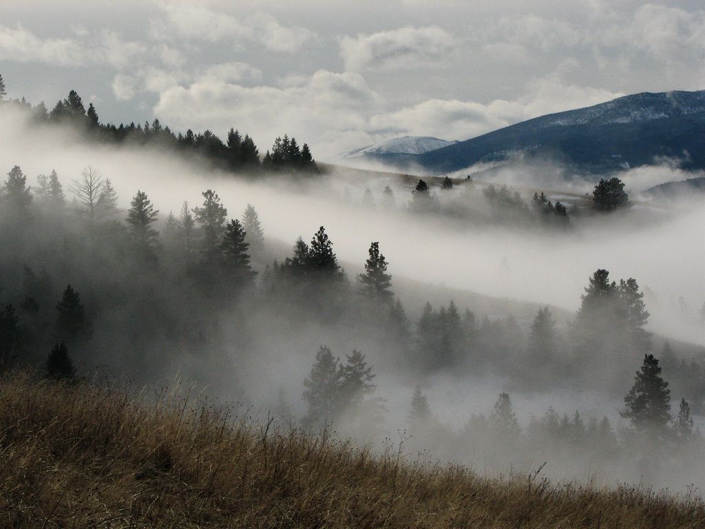 <p>fog</p>