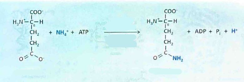 <p>reakcja katalizowana jest przez:</p>