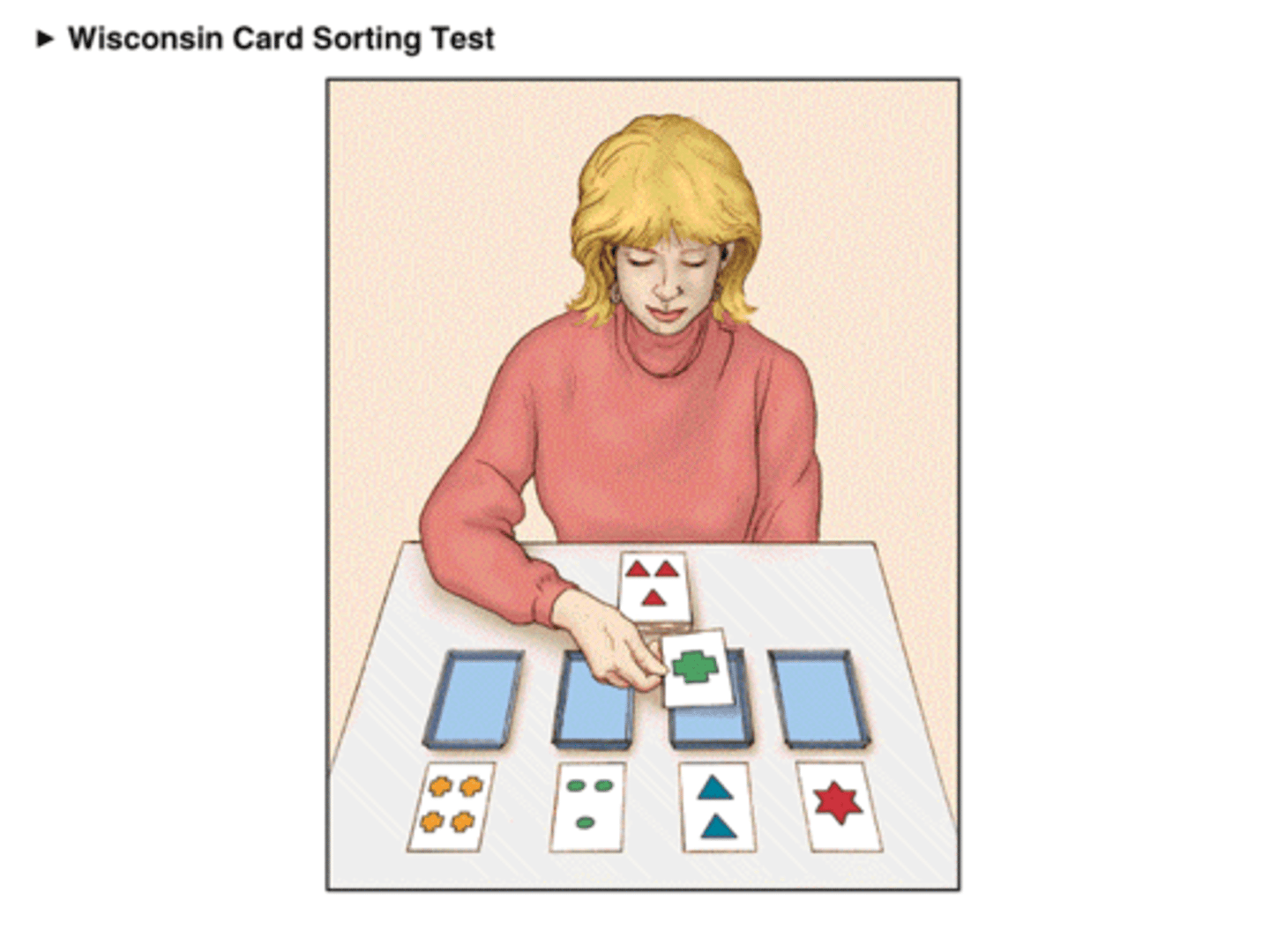 <p>used to study dlPFC &amp; those with Frontal Convexity Syndrome<br>- unspoken set of rules that subject must identify after trial and error, rule changes without notification &amp; subject must change their actions to figure out the new one<br>- those with dlPFC perseverate &amp; have trouble changing the task even though they know they should</p>
