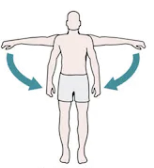 What is this movement called