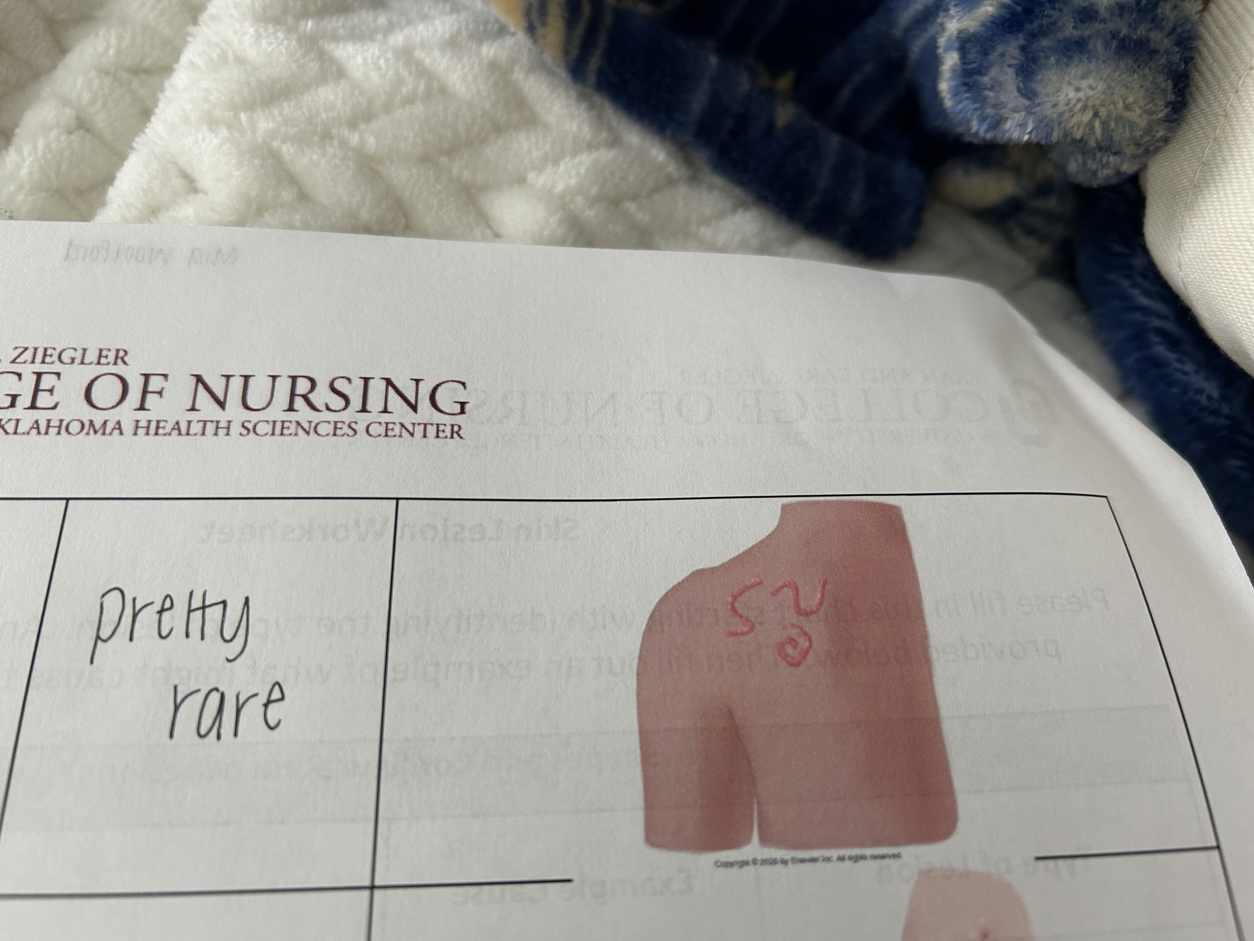 knowt flashcard image