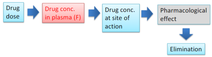 <p>Pharmacokinetic processes ADME (lec 2)</p>