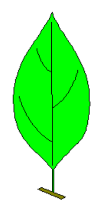 <p>attachment</p>