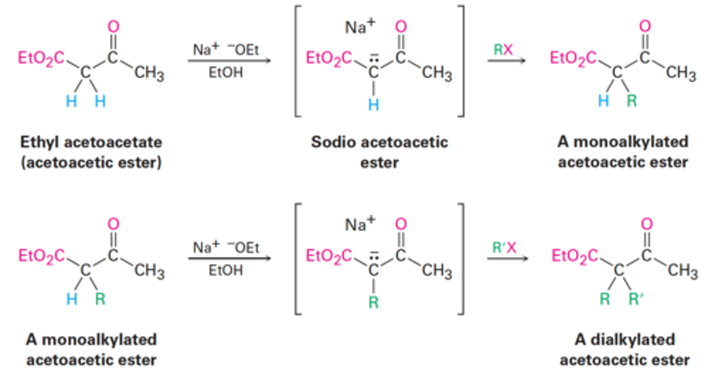 <p>Converts an alkyl halide into a methyl ketone with the addition of three carbon atoms.</p><p>RX → RCH₂COCH₃</p>